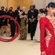A gorgeous dog at the Met Gala behind Megan Fox